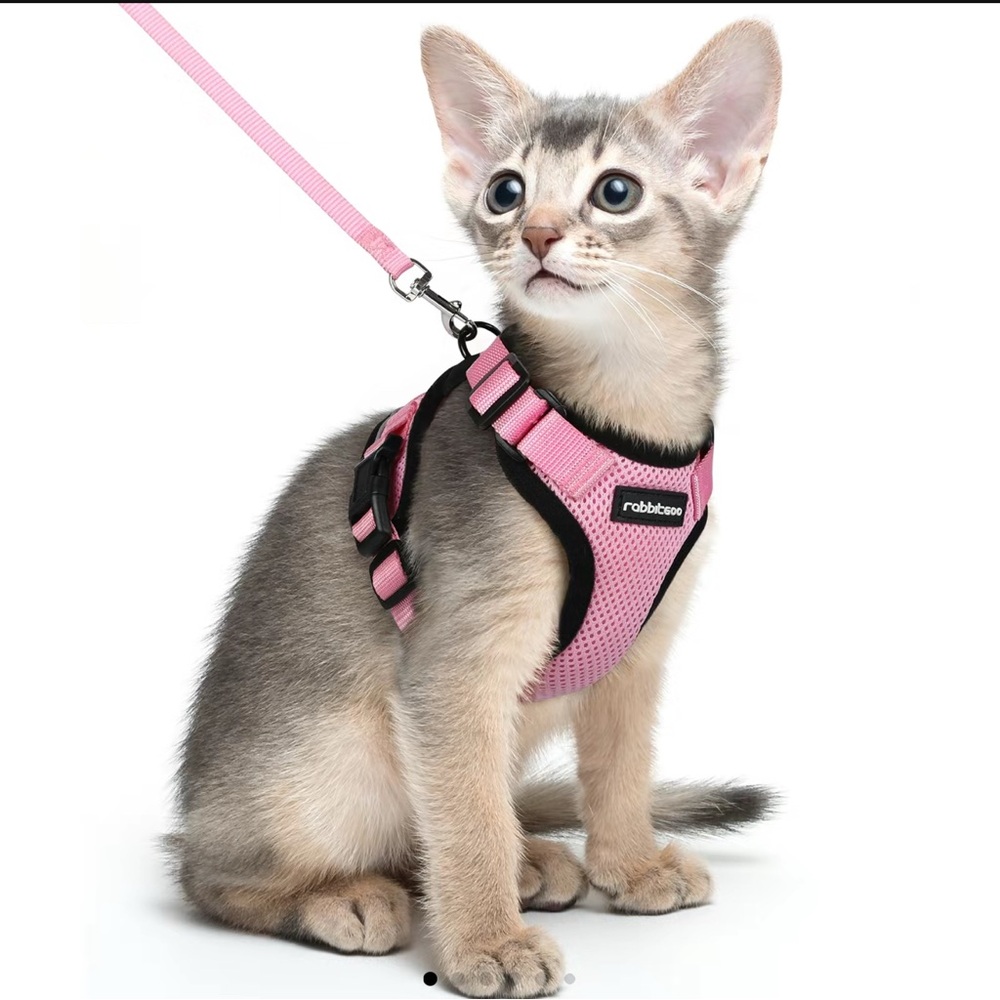 Cat leash